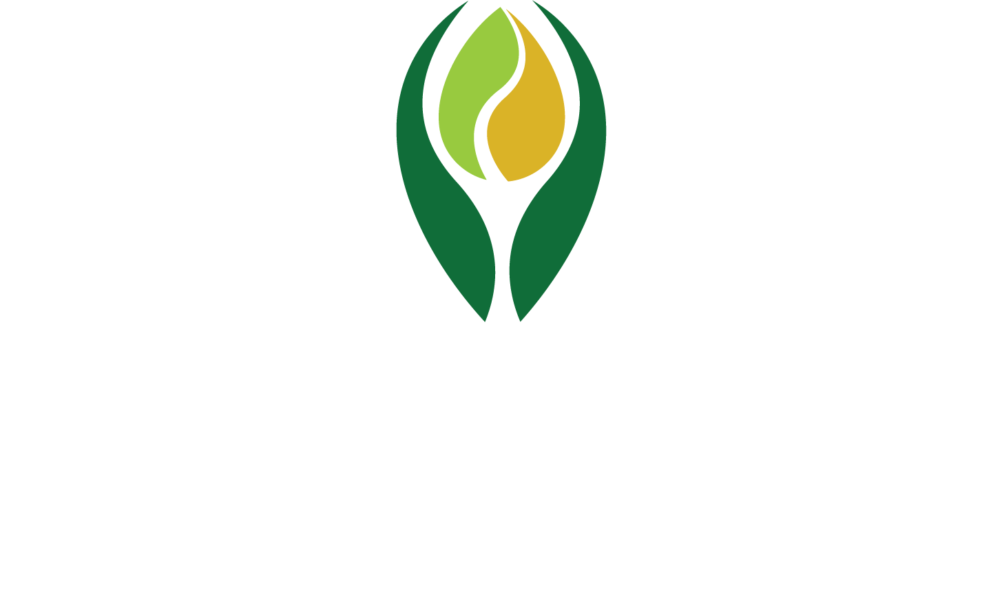 Safal Agro