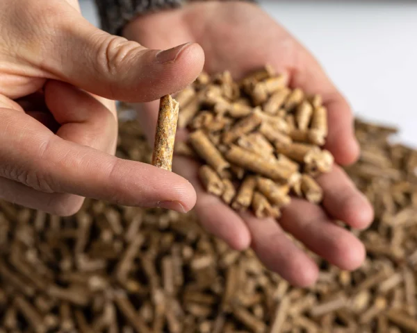 Agro Residue Biomass Pellets 